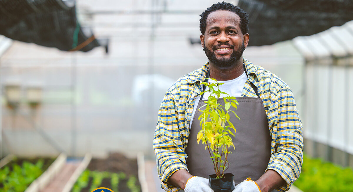 Maryland Launches Pioneering Cannabis Workforce Program – LocalNews1.org