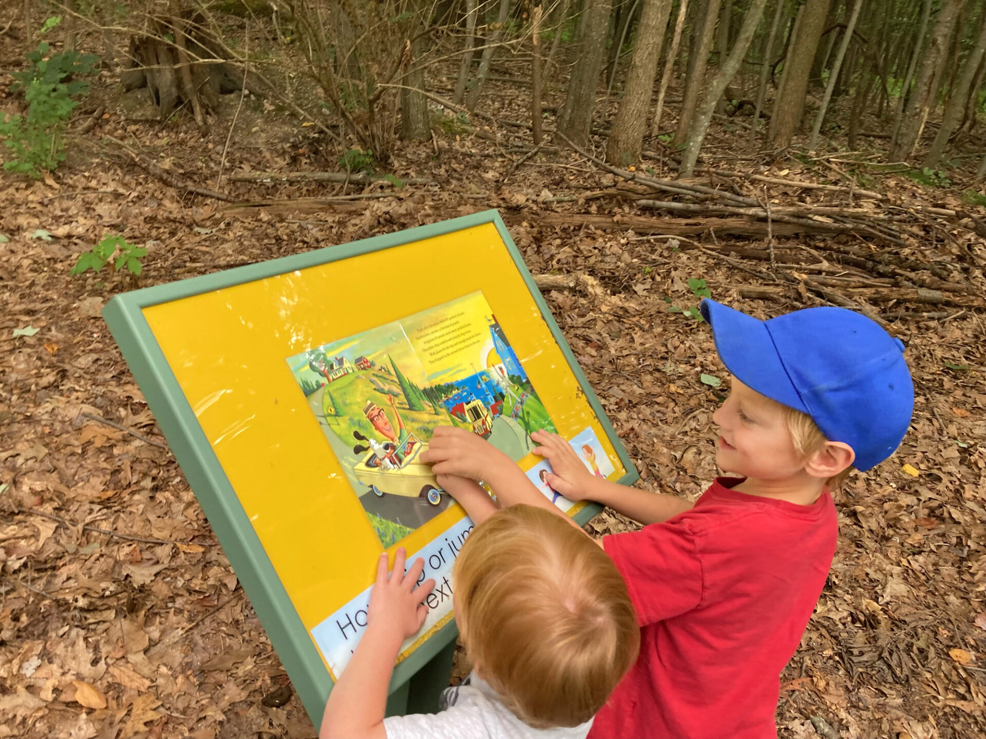 Story Trail Walk in Pine Hill for Children