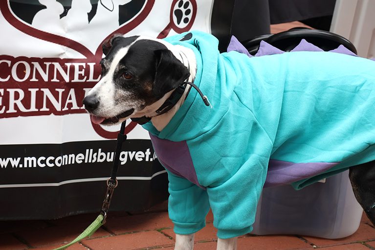 Dogtoberfest and Paws 5K raise $9,000 for Antietam Humane Society ...